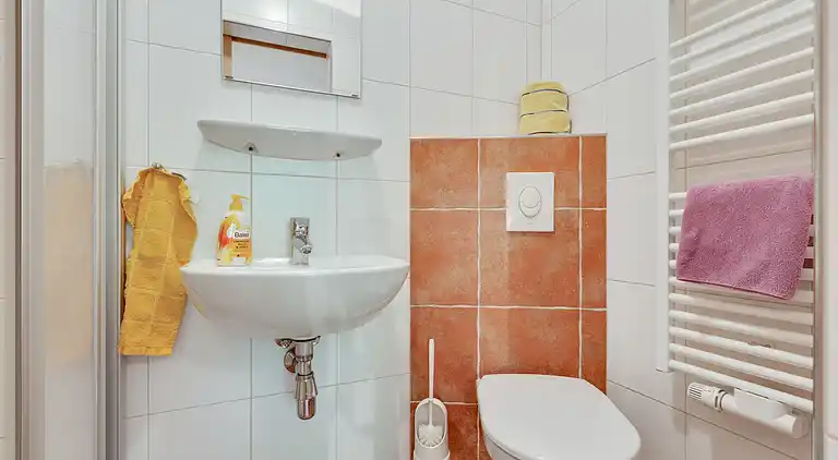 Apartment in Mittersill