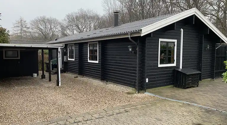 Oplev Nordsjællandsk bøgeskov  og strand 