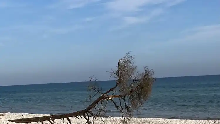 Historisk sommerhus i Poulsker