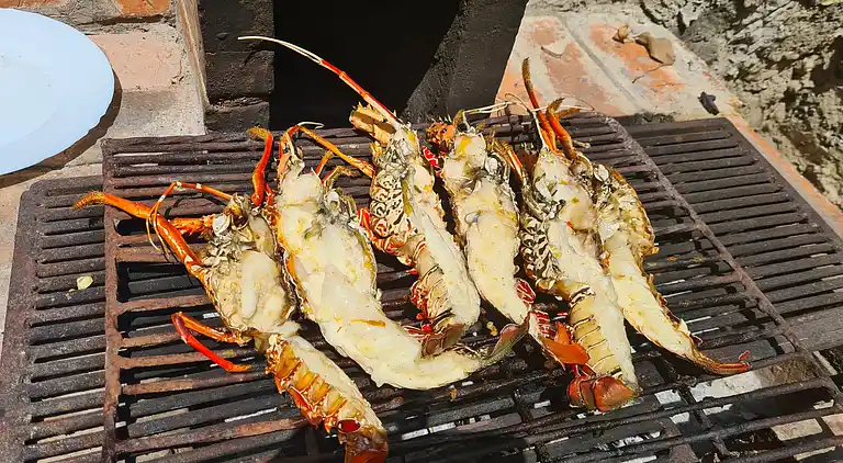 Vakantiehuis in Shimoni