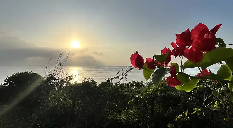 Vakantiehuis in Shimoni