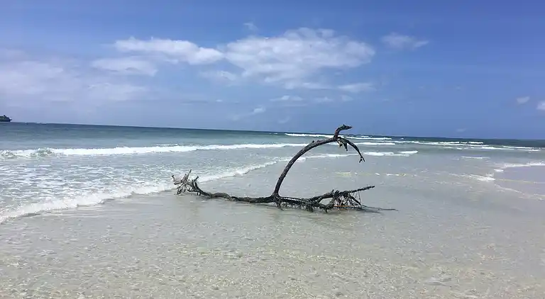 Vakantiehuis in Shimoni