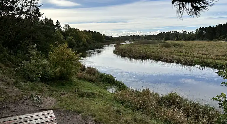 Skønt  feriehus. Spa/sauna,biloplader,Gudenå