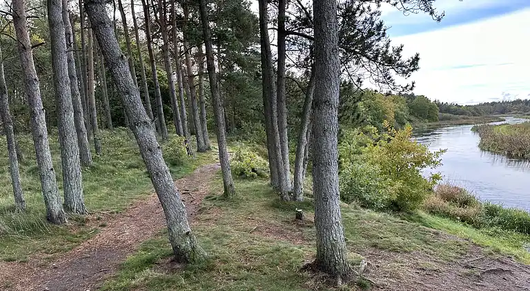 Skønt  feriehus. Spa/sauna,biloplader,Gudenå