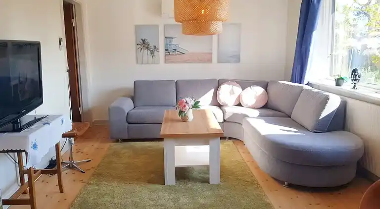 Sommerhus gemt i kystområde