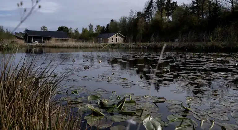 Ruhiges Gebiet nahe dem Strand und Ebeltoft.
