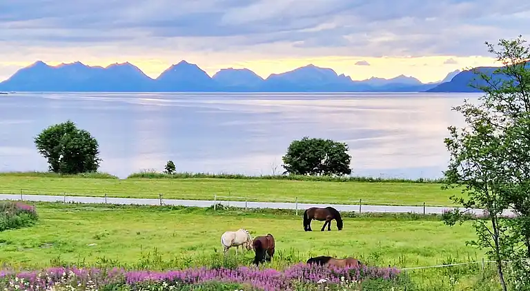 Sommerhus i Ibestad