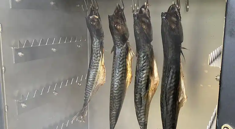 Sommerhus 400 meter fra vandet og havn