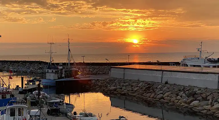 Sommerhus 400 meter fra vandet og havn