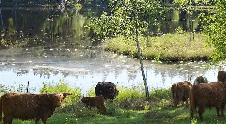 Casa vacanze in Karlskrona NV