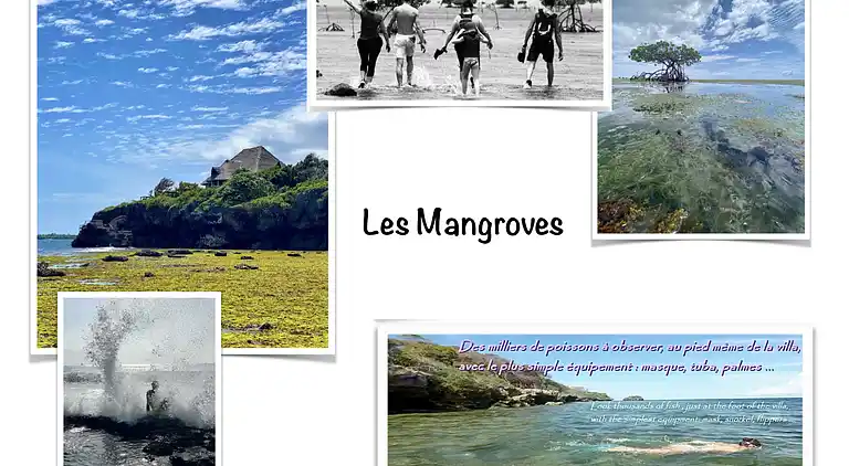 Vakantiehuis in Shimoni