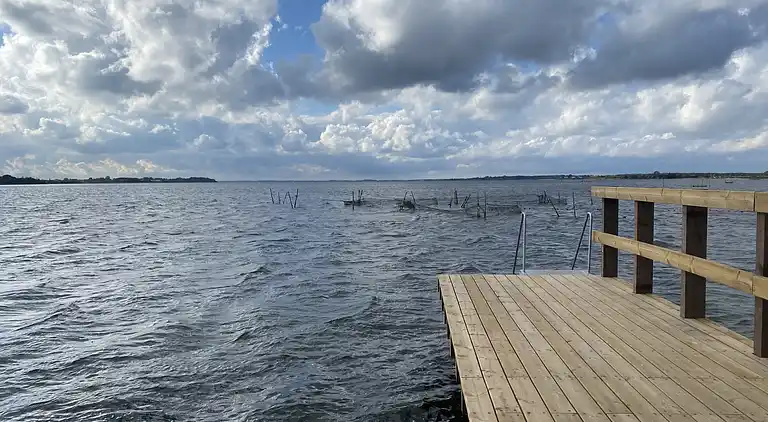 Villa Betula: Naturperle ved Hårbølle Havn