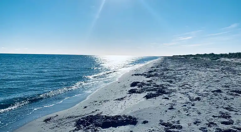 Sommerhus 400 meter fra vandet og havn