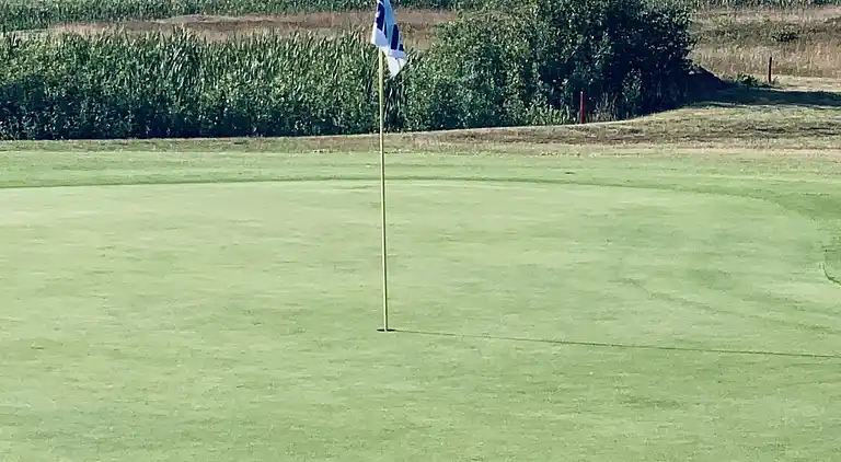 Sommerhus 400 meter fra vandet og havn