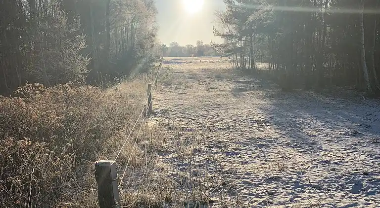 Sommerhus 400 meter fra vandet og havn