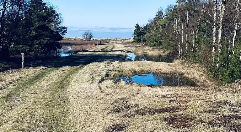 Sommerhus 400 meter fra vandet og havn