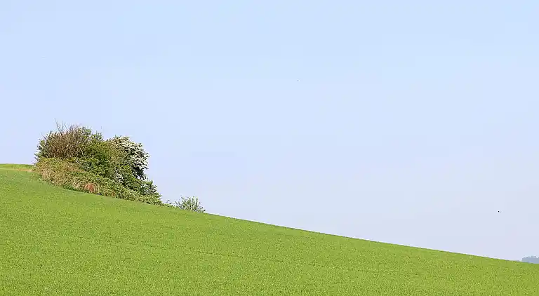 Semesterbostad vid Vikær Strand