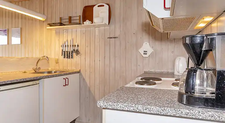 Holiday home in Thisted