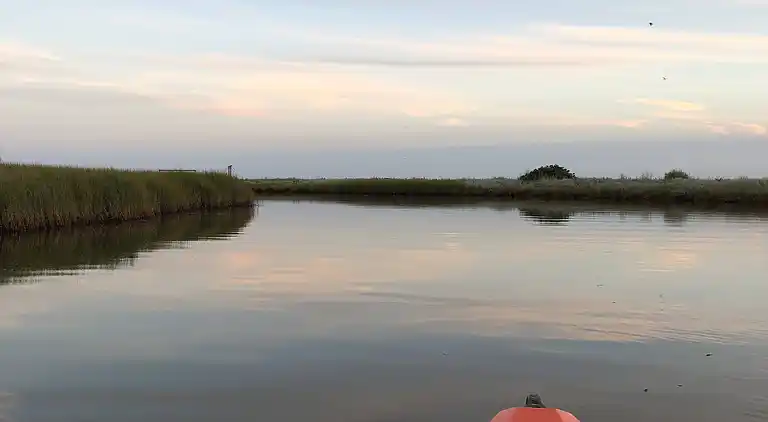 Fynsk sommerhus med fantastisk havudsigt 