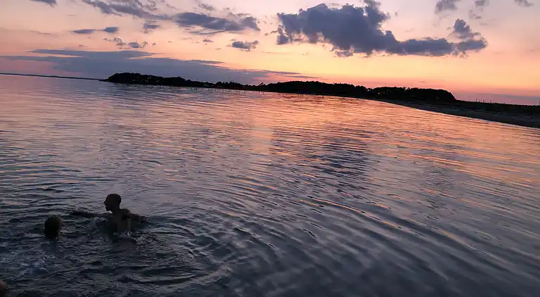 Fynsk sommerhus med fantastisk havudsigt 