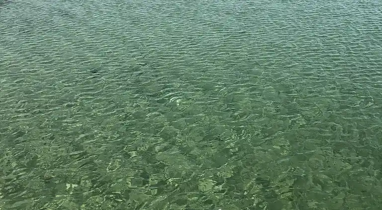 Fynsk sommerhus med fantastisk havudsigt 