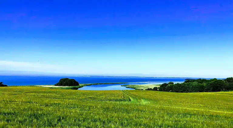 Fynsk sommerhus med fantastisk havudsigt 