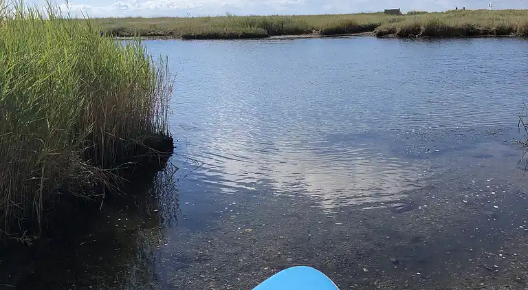 Fynsk sommerhus med fantastisk havudsigt 