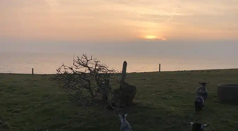 Fynsk sommerhus med fantastisk havudsigt 