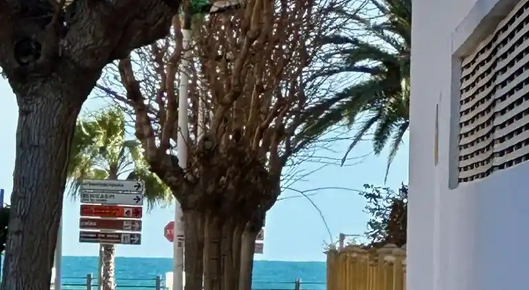 Apartamento Mar de Oropesa I Ref 003