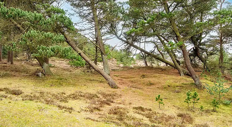 Holiday home in Havneby