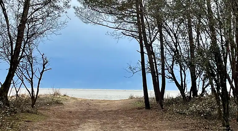 Superb Mobilhome Ba302 - 3 bedrooms Siblu Bonne Anse La