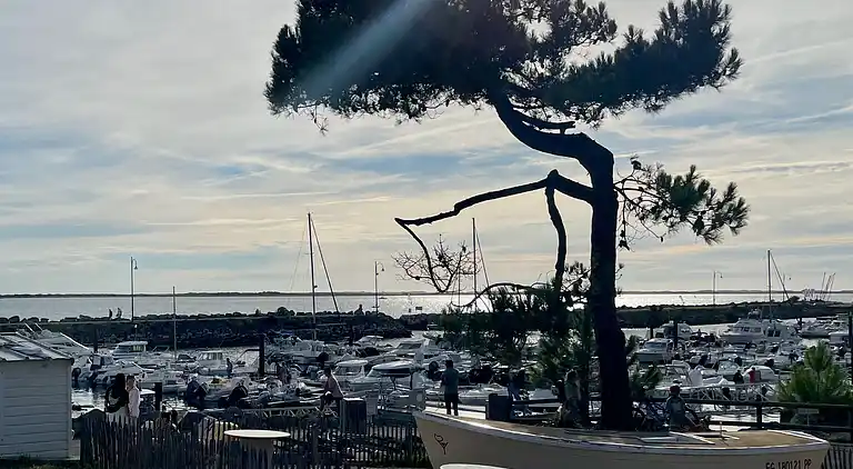 Bungalow  i Saint-Augustin