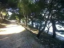 Apartaments Villa Stella-Postira, Island of Brac 6