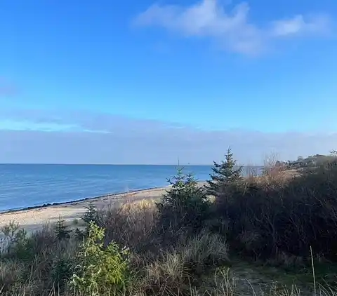Skønt sommerhus med anneks og have