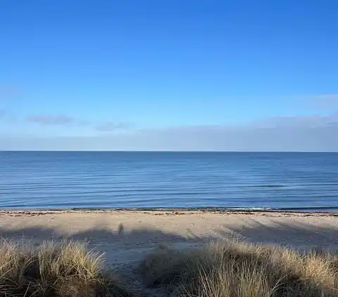 Skønt sommerhus med anneks og have