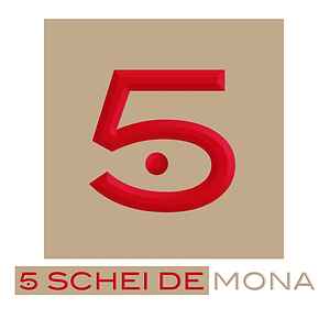 The 5 Schei De Mona Concierge Services in Venice
