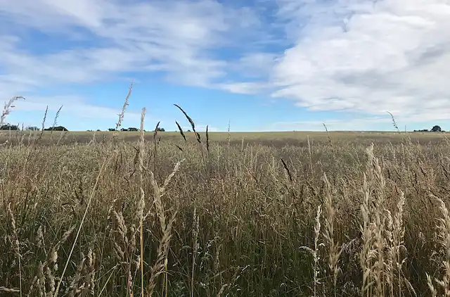 Skønt beliggende sommerhus i Dronningmølle