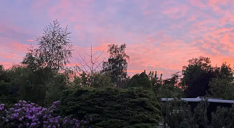 Skønt sommerhus med anneks og have