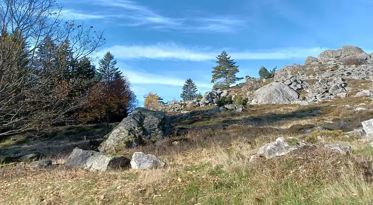 Holiday home in Stadlern