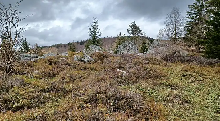 Holiday home in Stadlern