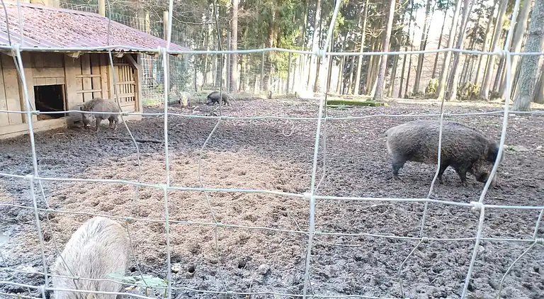 Holiday home in Stadlern