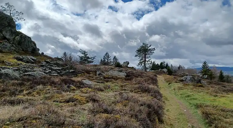 Holiday home in Stadlern