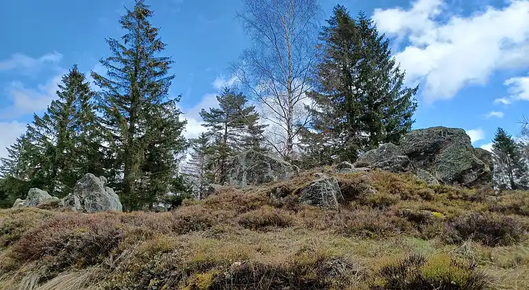 Holiday home in Stadlern