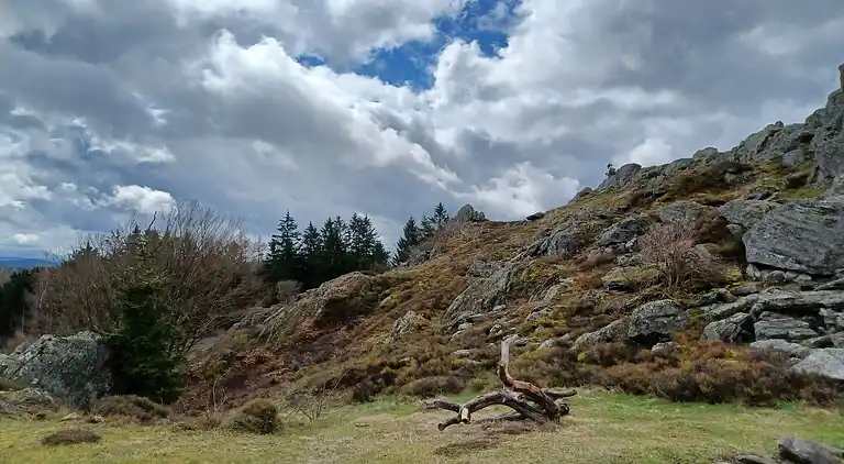 Holiday home in Stadlern