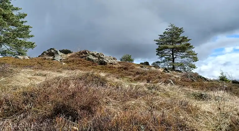 Holiday home in Stadlern