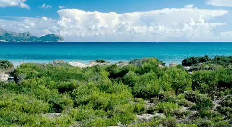 Sommerhus i Port d'Alcúdia