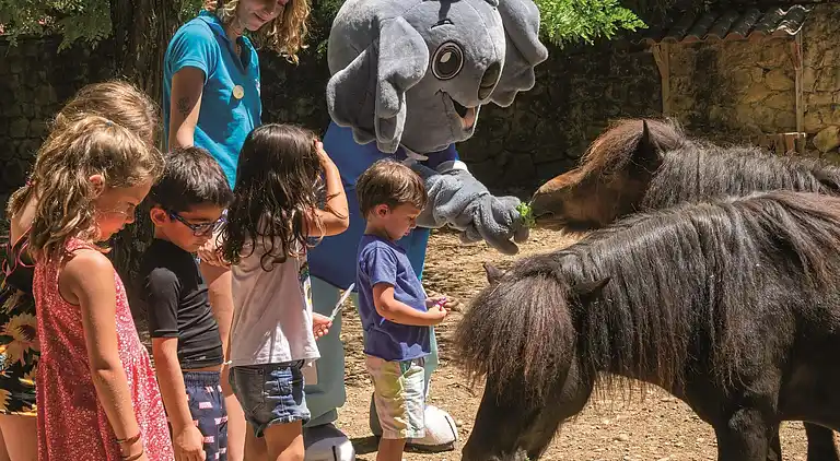 Mobile home i Gréoux-les-Bains