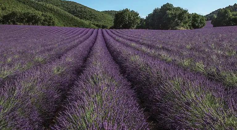 Ferielejlighed i Gréoux-les-Bains