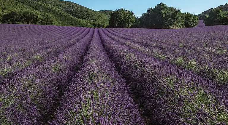 Mobile home in Gréoux-les-Bains