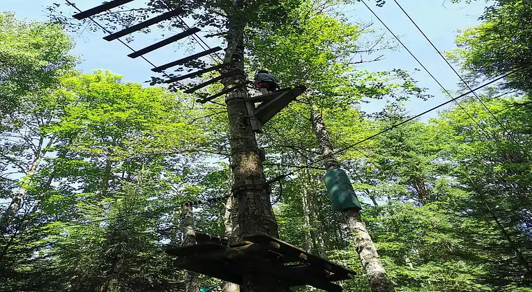 Cottage in Saint-Jean-d'Aulps